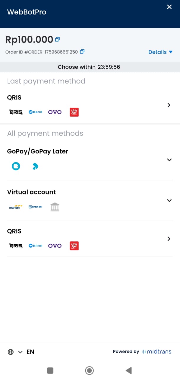 Professional Business Website (SMB) with Online Payment